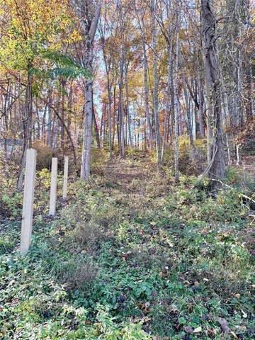 a view of a yard with trees