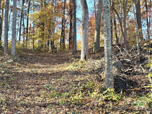 a view of outdoor space with lots of trees