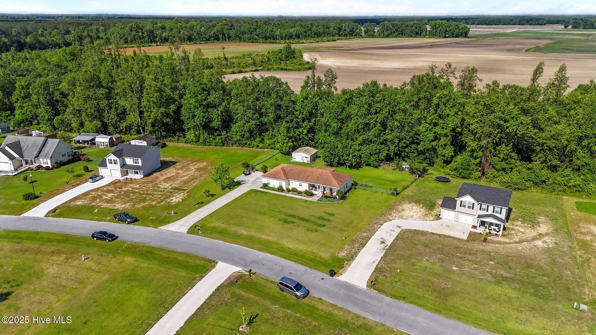 1052 Beaver Creek Road Deep Run, NC 28525 - Photo 48 of 53 48-web-or-mls-DJI_20250506100707_0697_D