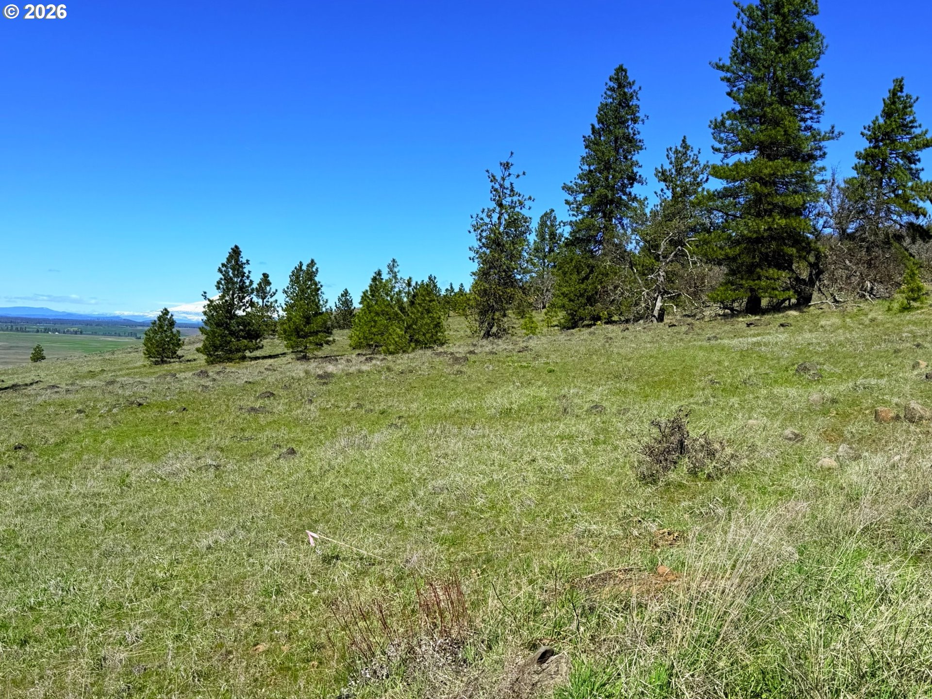 Eagle Drive, Unit 20 Goldendale, WA 98620 - Photo 28 of 45