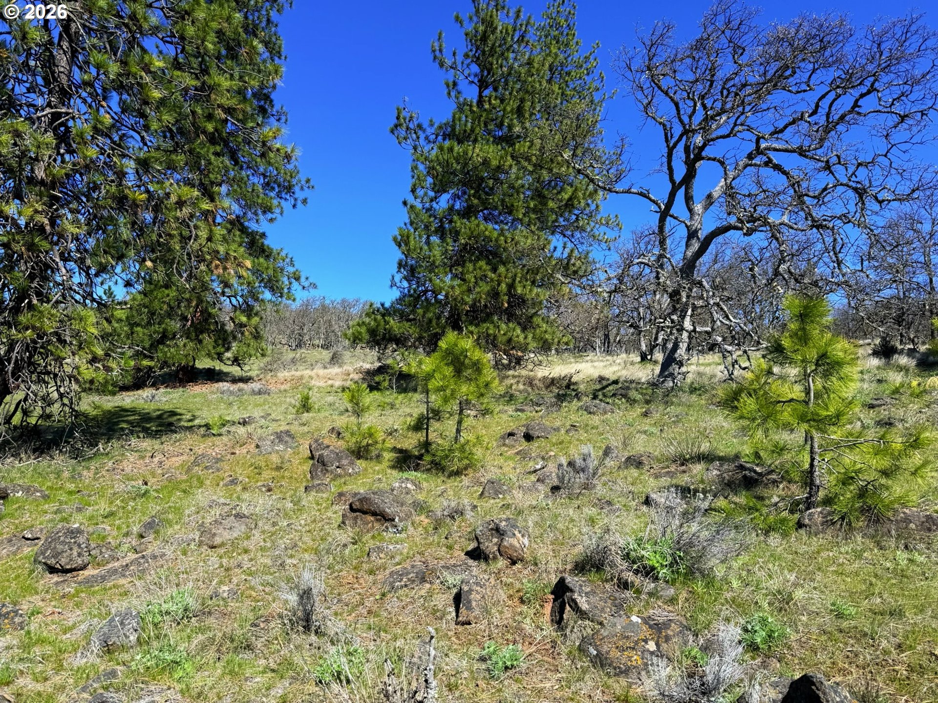 Eagle Drive, Unit 20 Goldendale, WA 98620 - Photo 30 of 45