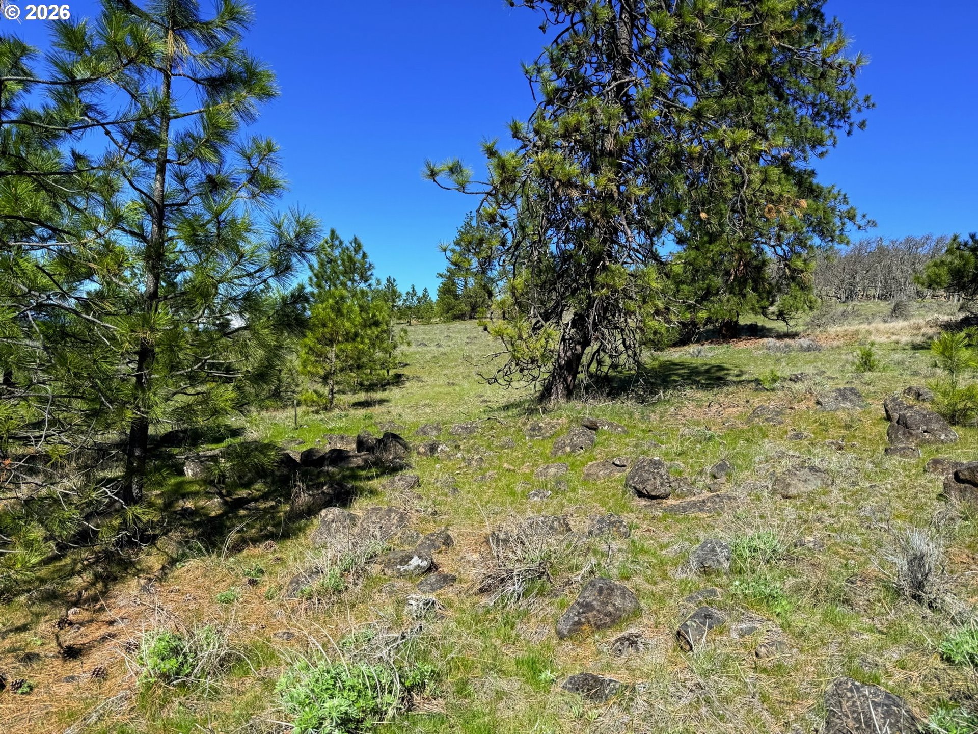 Eagle Drive, Unit 20 Goldendale, WA 98620 - Photo 31 of 45
