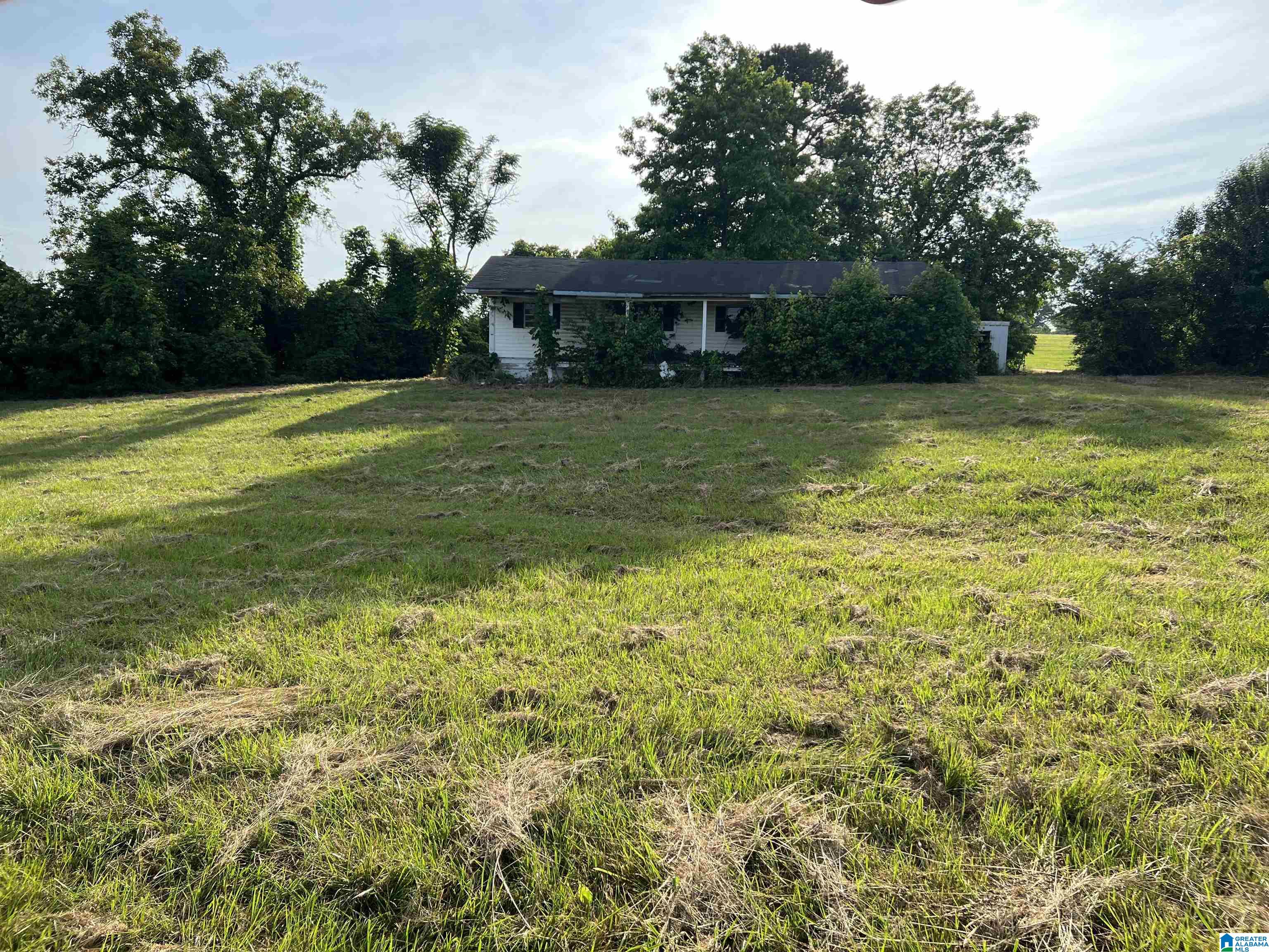 0 County Road 37 Clanton, AL 35045 - Photo 2 of 5