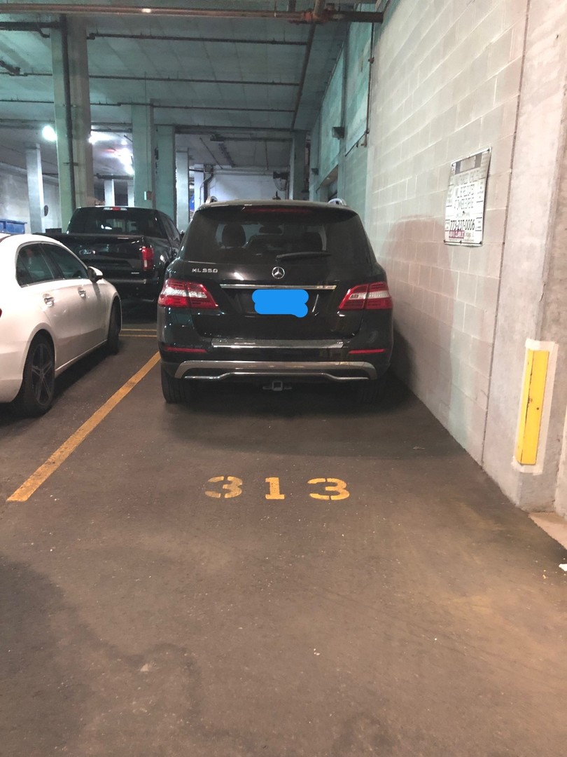 420 East Waterside Drive, Unit P313 Chicago, IL 60601 - Photo 2 of 4