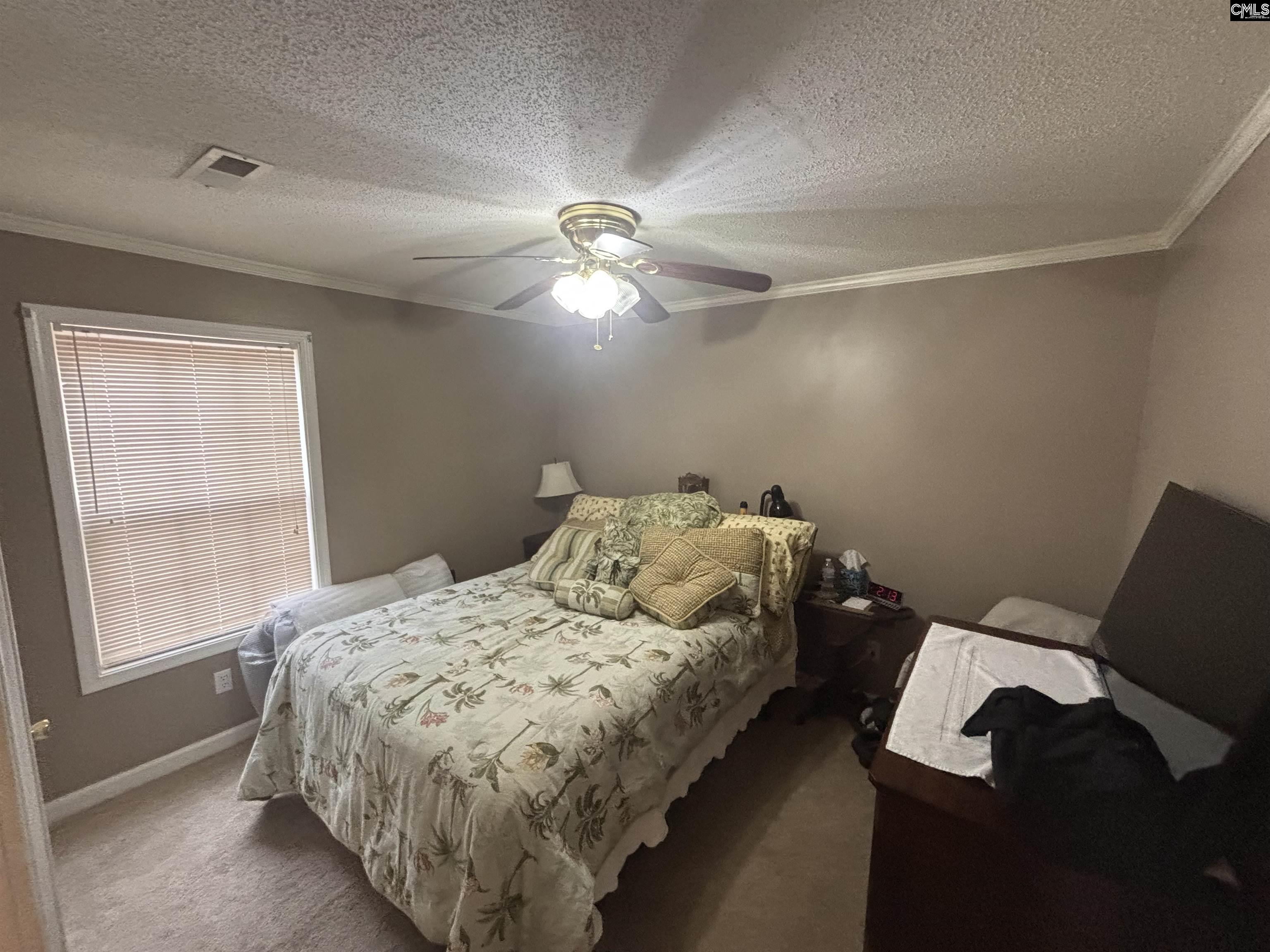 548 Eskie Dixon Road Elgin, SC 29045 - Photo 35 of 54