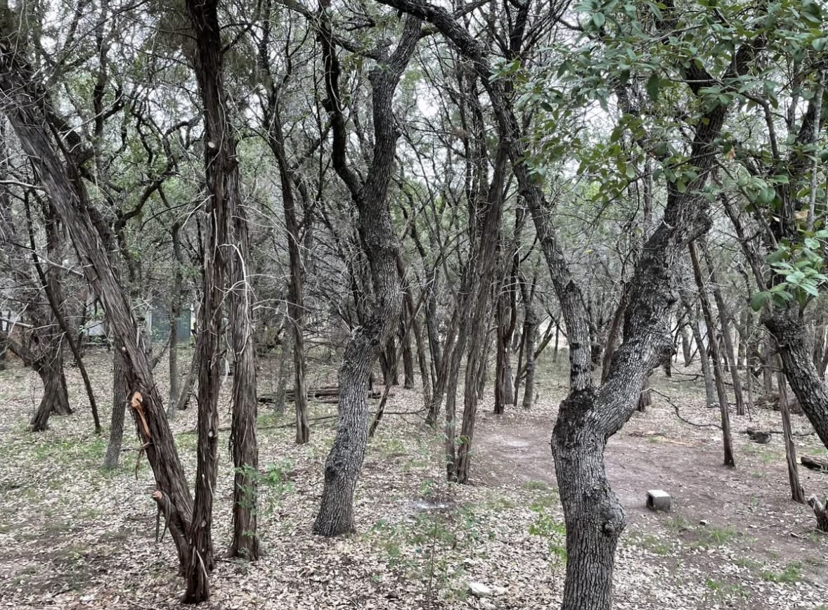 23081 Nameless Road, Unit B Leander, TX 78641 - Photo 10 of 10