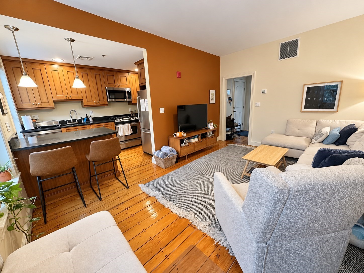 48 East Springfield Street, Unit 3 Boston, MA 02118 - Photo 2 of 8 Gallery Image 2