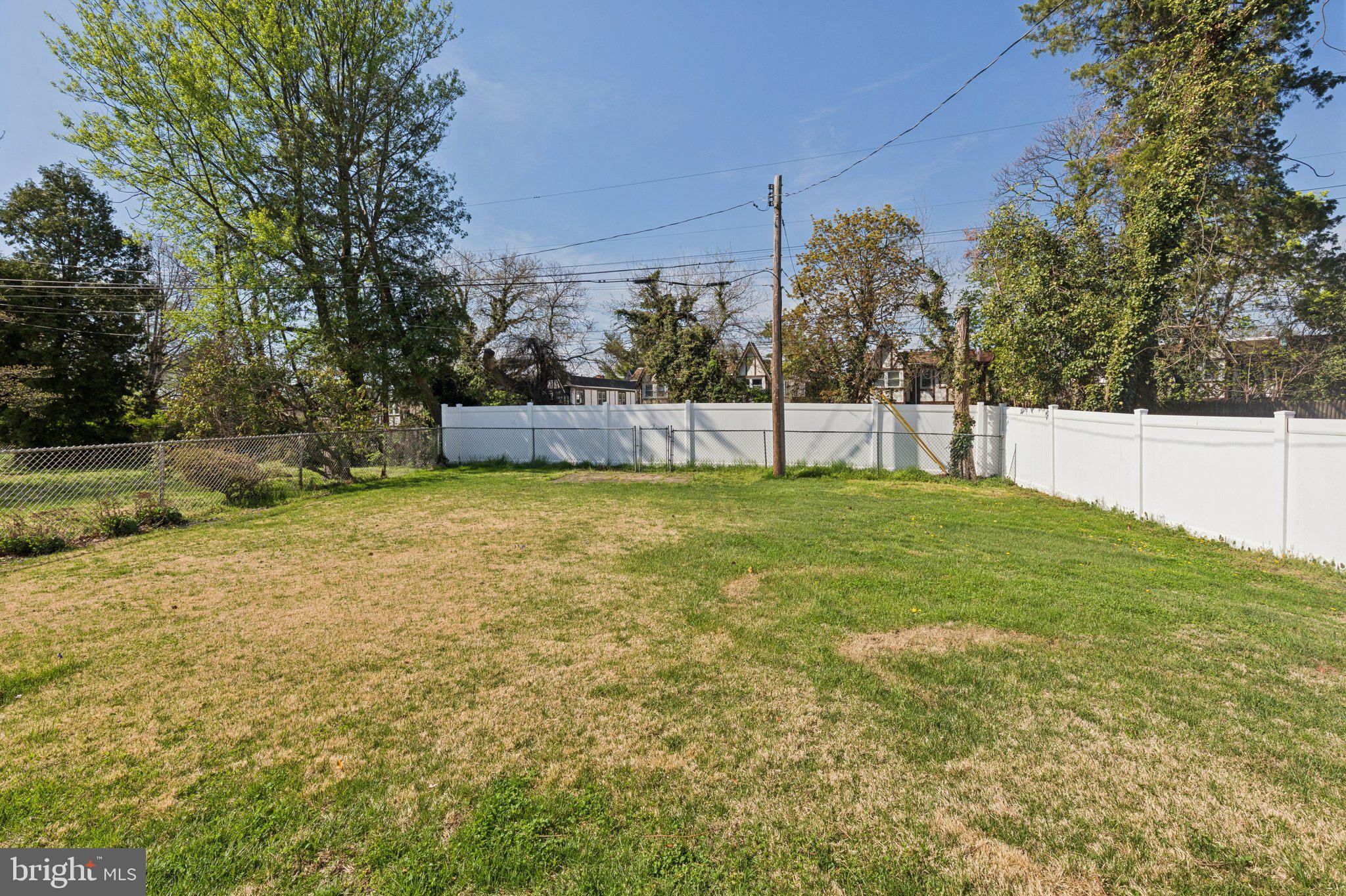 6622 Ardleigh Street Philadelphia, PA 19119 - Photo 21 of 21 Spacious yard with lush greenery.