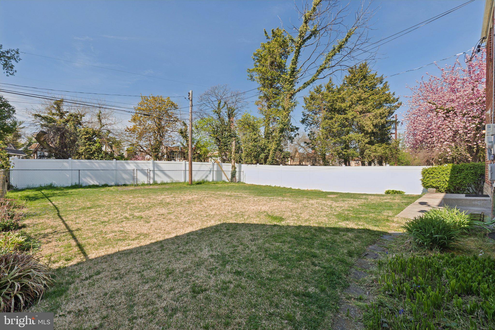 6622 Ardleigh Street Philadelphia, PA 19119 - Photo 7 of 21 Spacious yard with vibrant greenery.