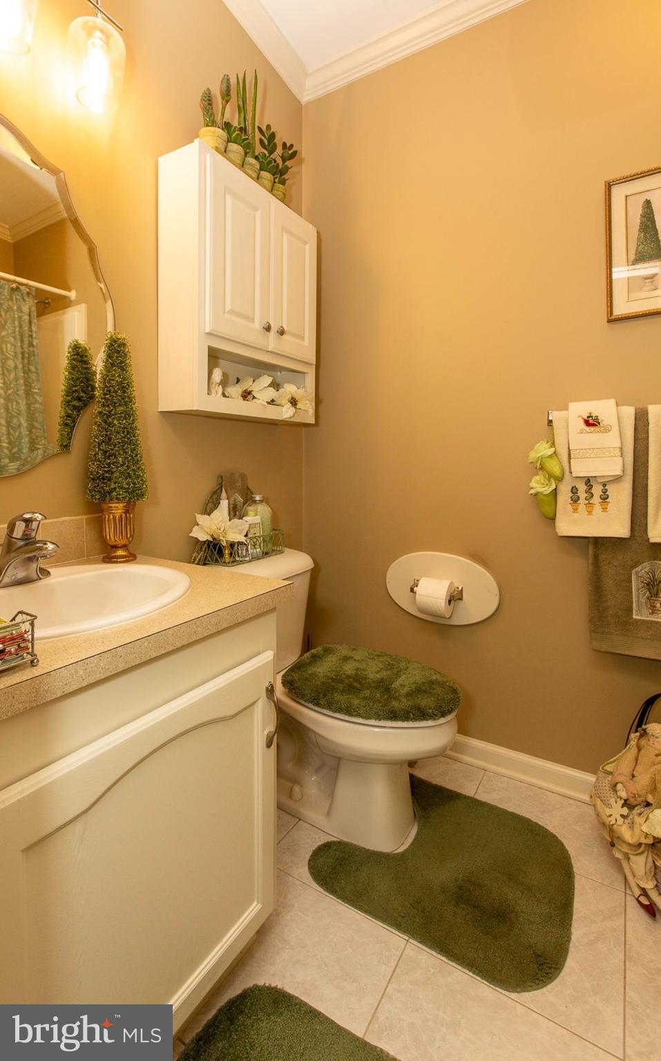 66 Random Road Douglassville, PA 19518 - Photo 15 of 27 a bathroom with a sink and a toilet