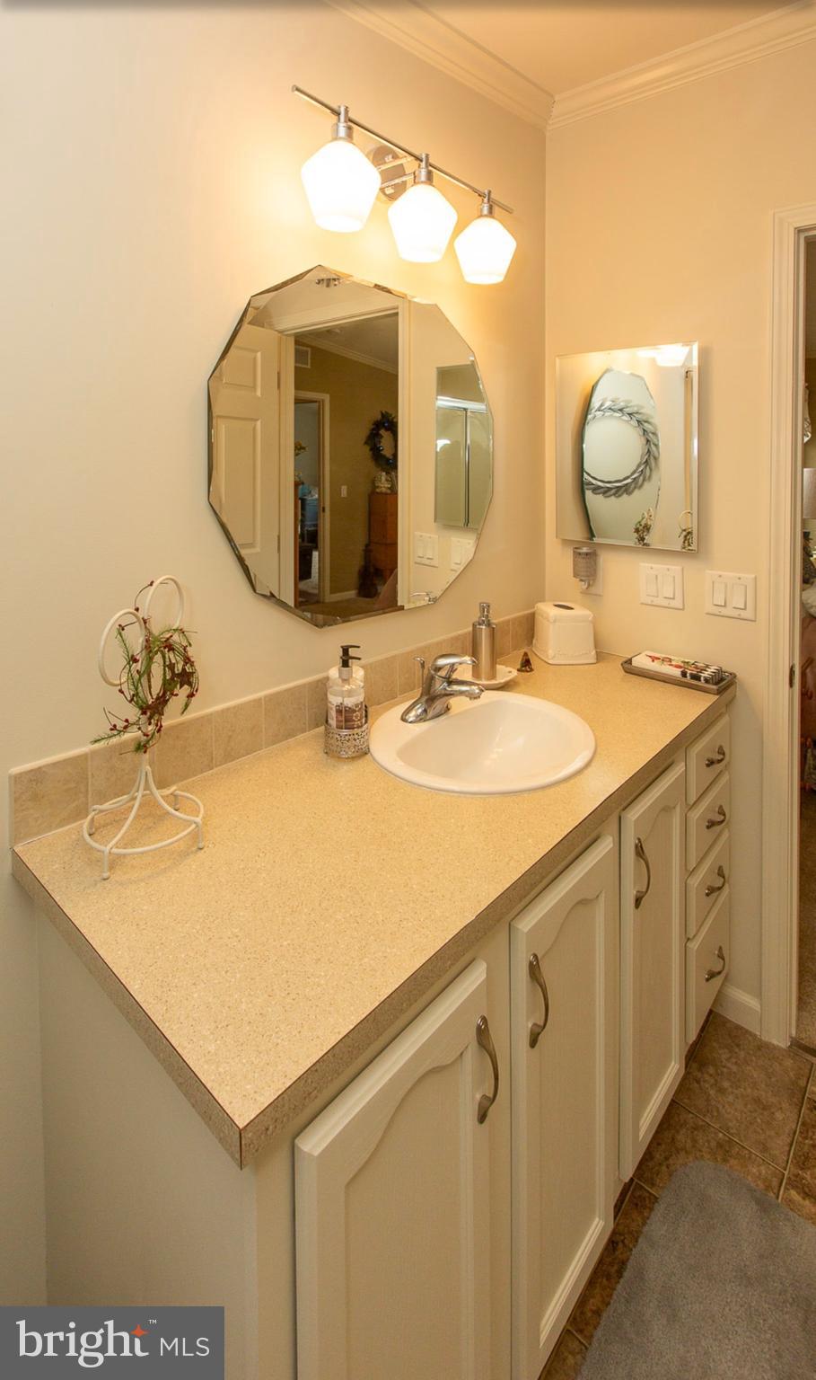66 Random Road Douglassville, PA 19518 - Photo 18 of 27 a bathroom with a sink vanity and a mirror