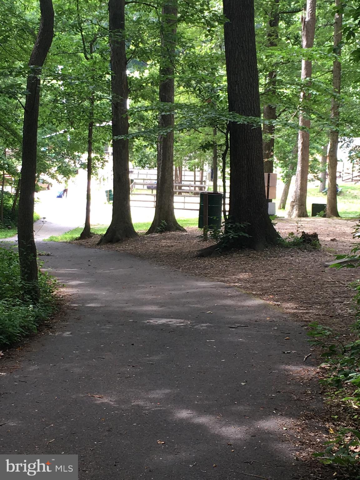 7701 Heming Place Springfield, VA 22151 - Photo 61 of 62 Walking Trails near the lake