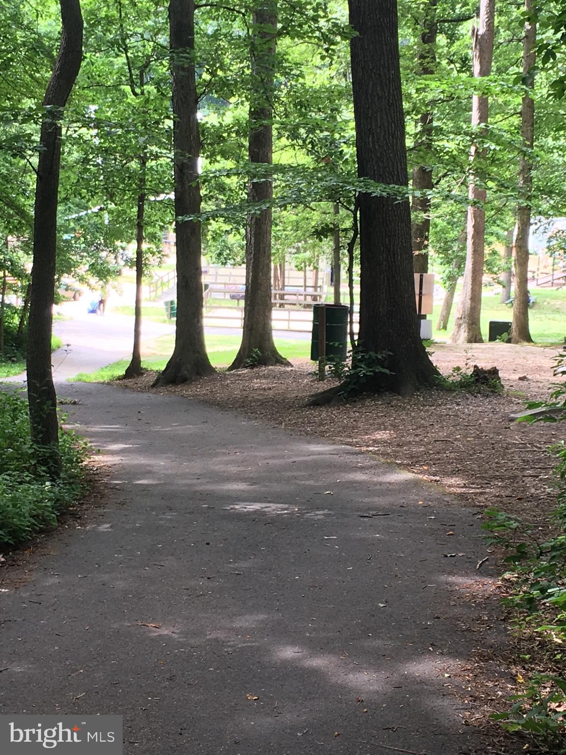 7701 Heming Place Springfield, VA 22151 - Photo 62 of 62 Walking Trails in wooded areas