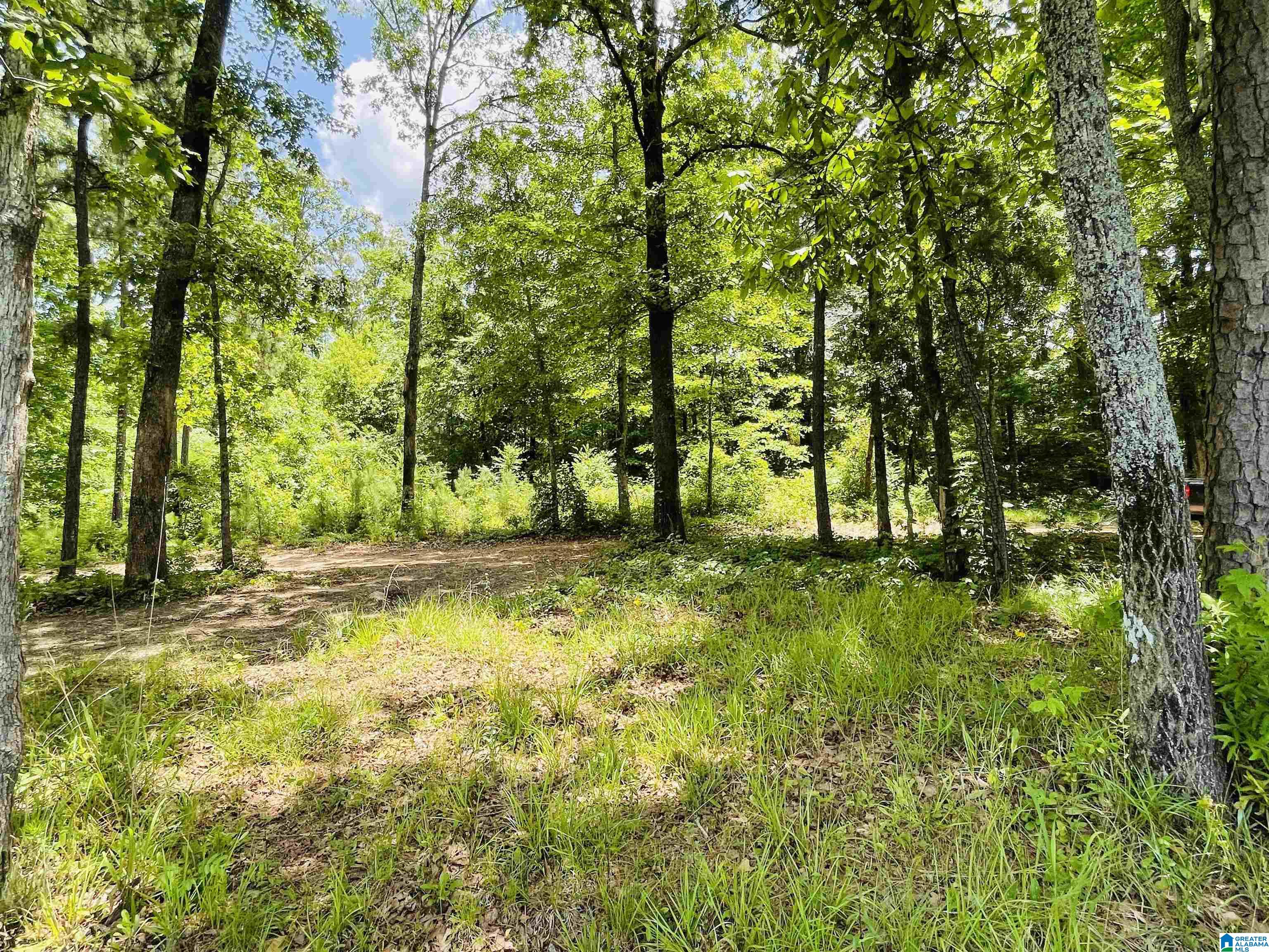 595 Willingham Road, Unit 595 Talladega, AL 35160 - Photo 8 of 23