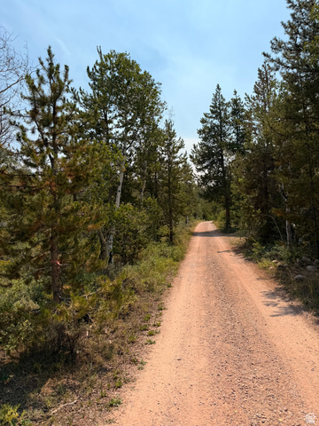 4913 Pinecrest Road Evanston, UT 82930 - Photo 2 of 11 Gravel driveway surrounded by mature evergreen trees and natural foliage