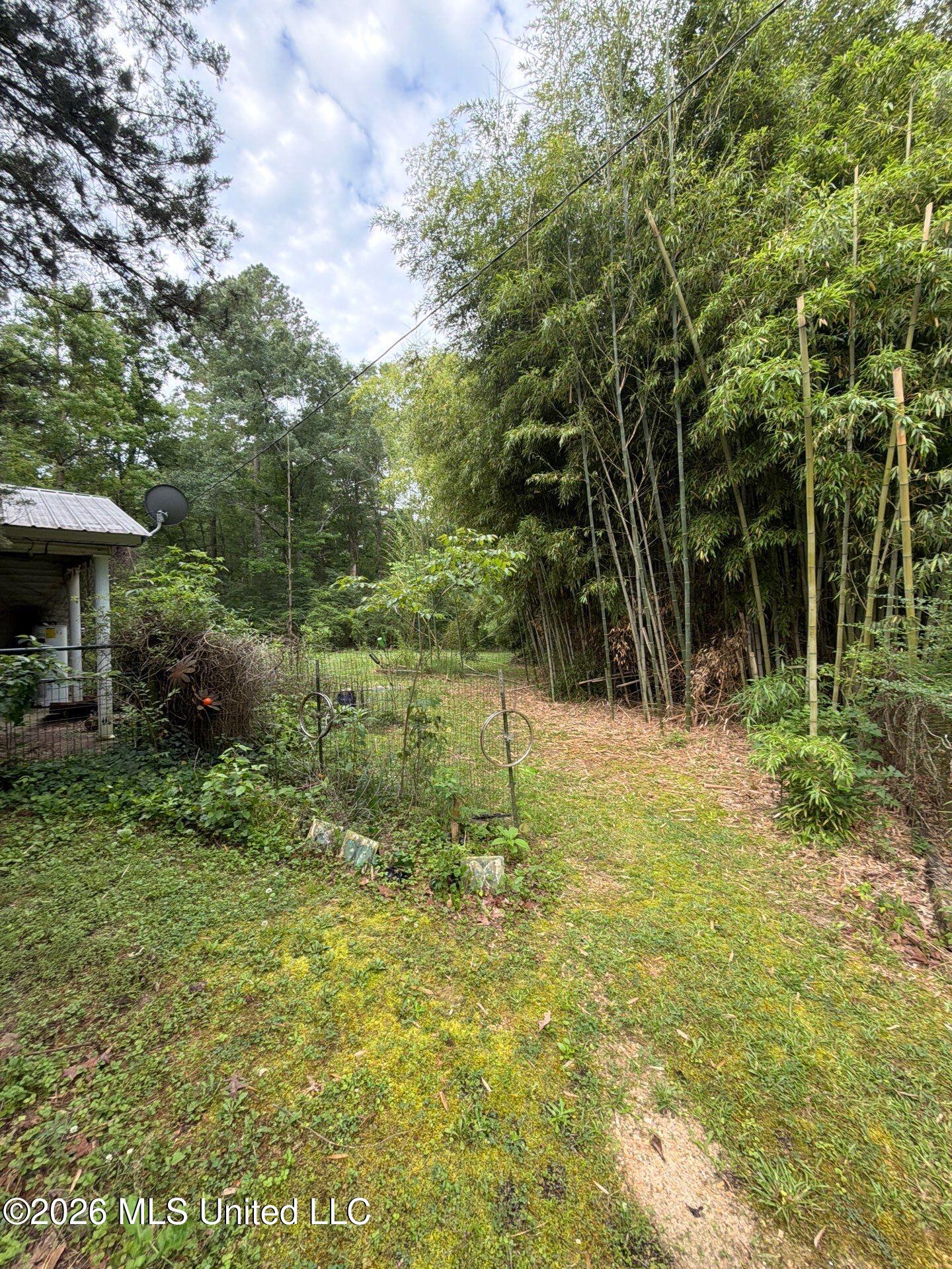118 Canterbury Road Brandon, MS 39042 - Photo 14 of 60 20-May 19, 2026 13-05-00-Vyww