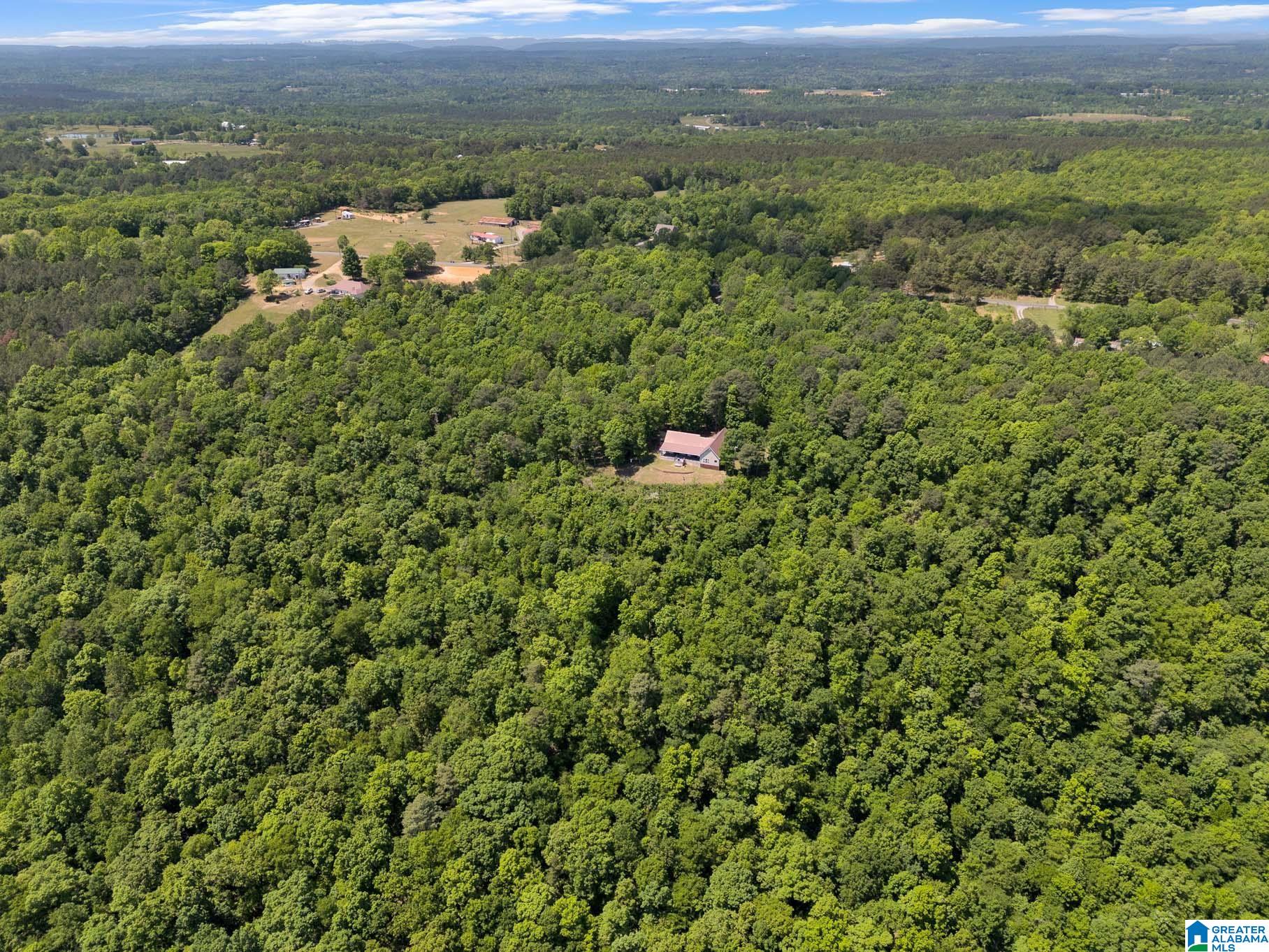 7076 Co Highway 24 Springville, AL 35146 - Photo 49 of 60