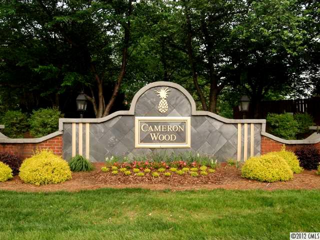 9818 Deer Spring Lane Charlotte, NC 28210 - Photo 13 of 14