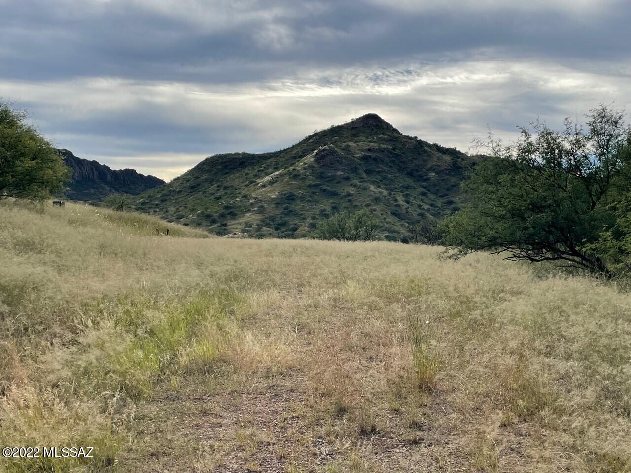 Tbd Tbd Nighthawk Court, Unit 186/5 Rio Rico, AZ 85648 - Photo 8 of 23