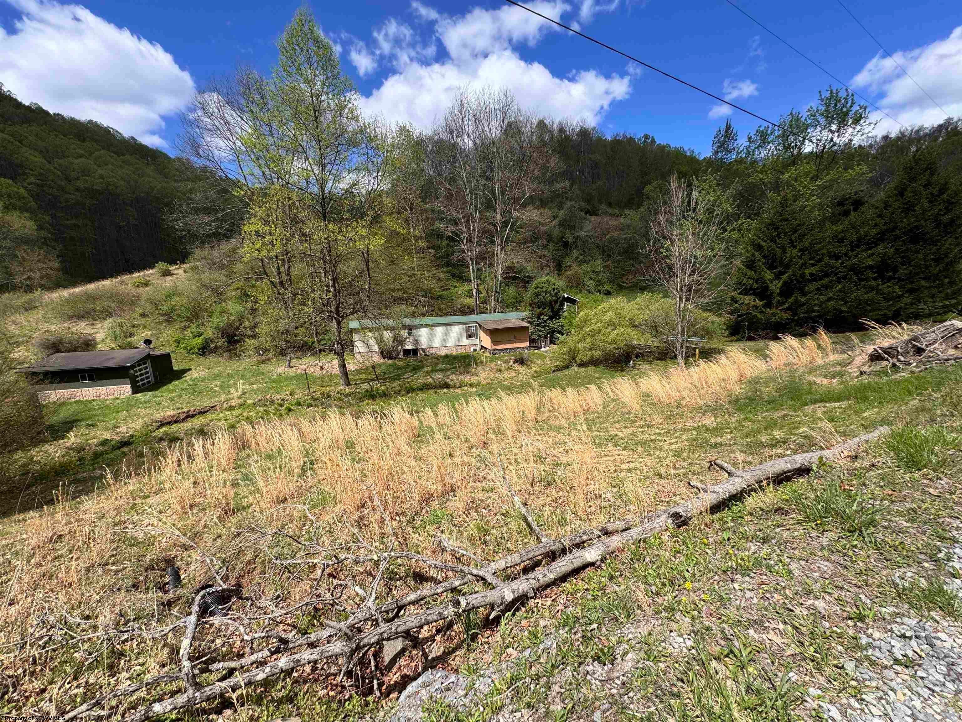 601 Shaw Hallow Road Wallace, WV 26448 - Photo 1 of 4 Gallery Image 1