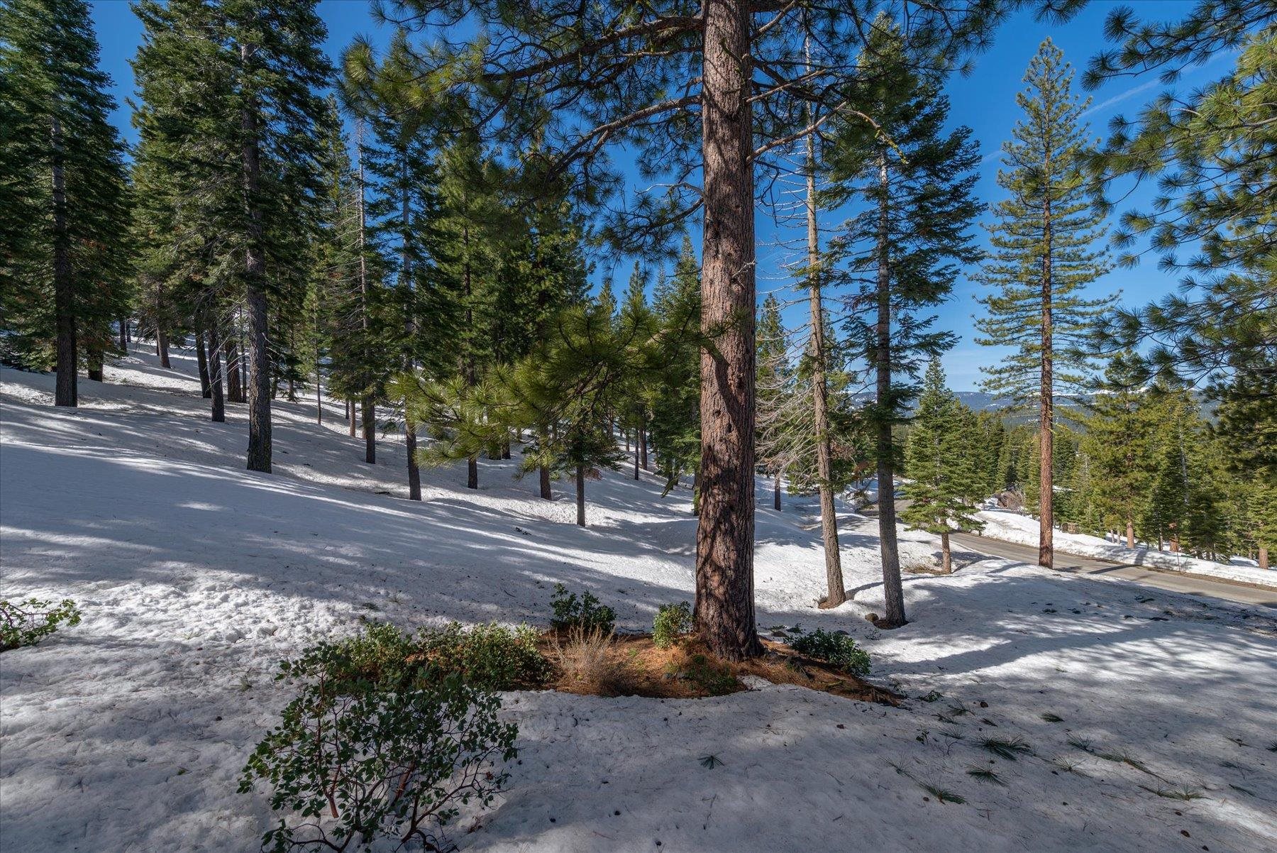 2640 Mill Site Road Truckee, CA 96161 - Photo 14 of 18 a view of a road with a trees