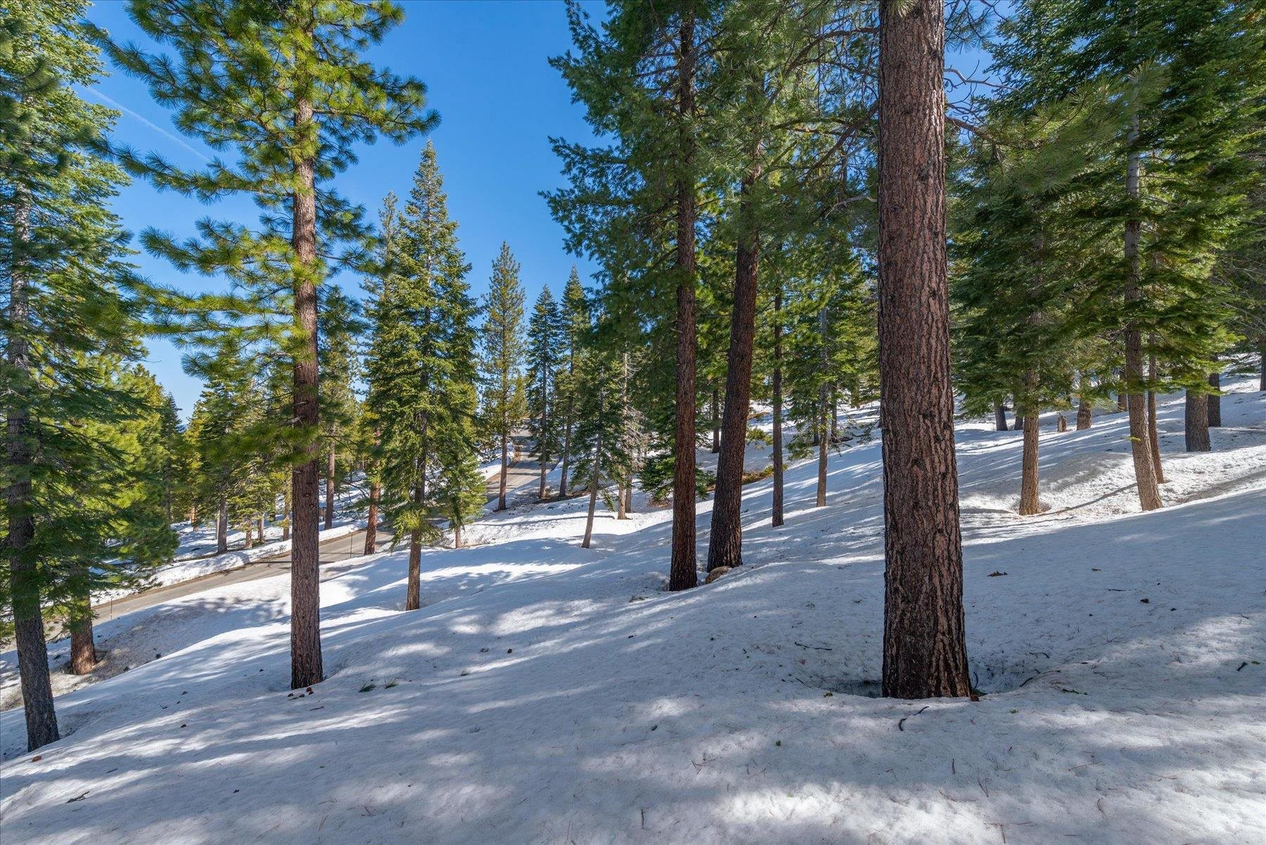 2640 Mill Site Road Truckee, CA 96161 - Photo 15 of 18 a view of road with trees