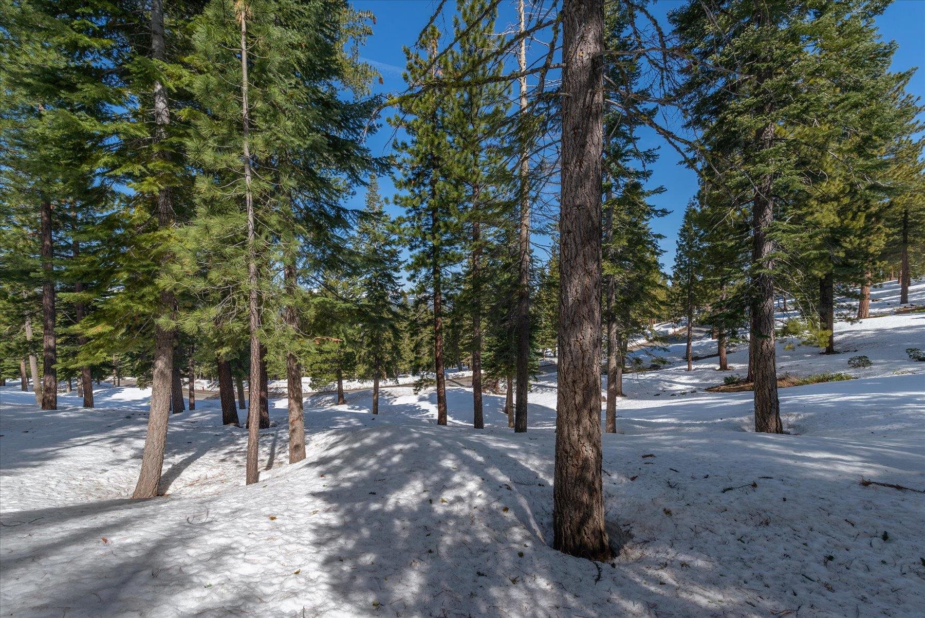 2640 Mill Site Road Truckee, CA 96161 - Photo 4 of 18 a view of street with trees