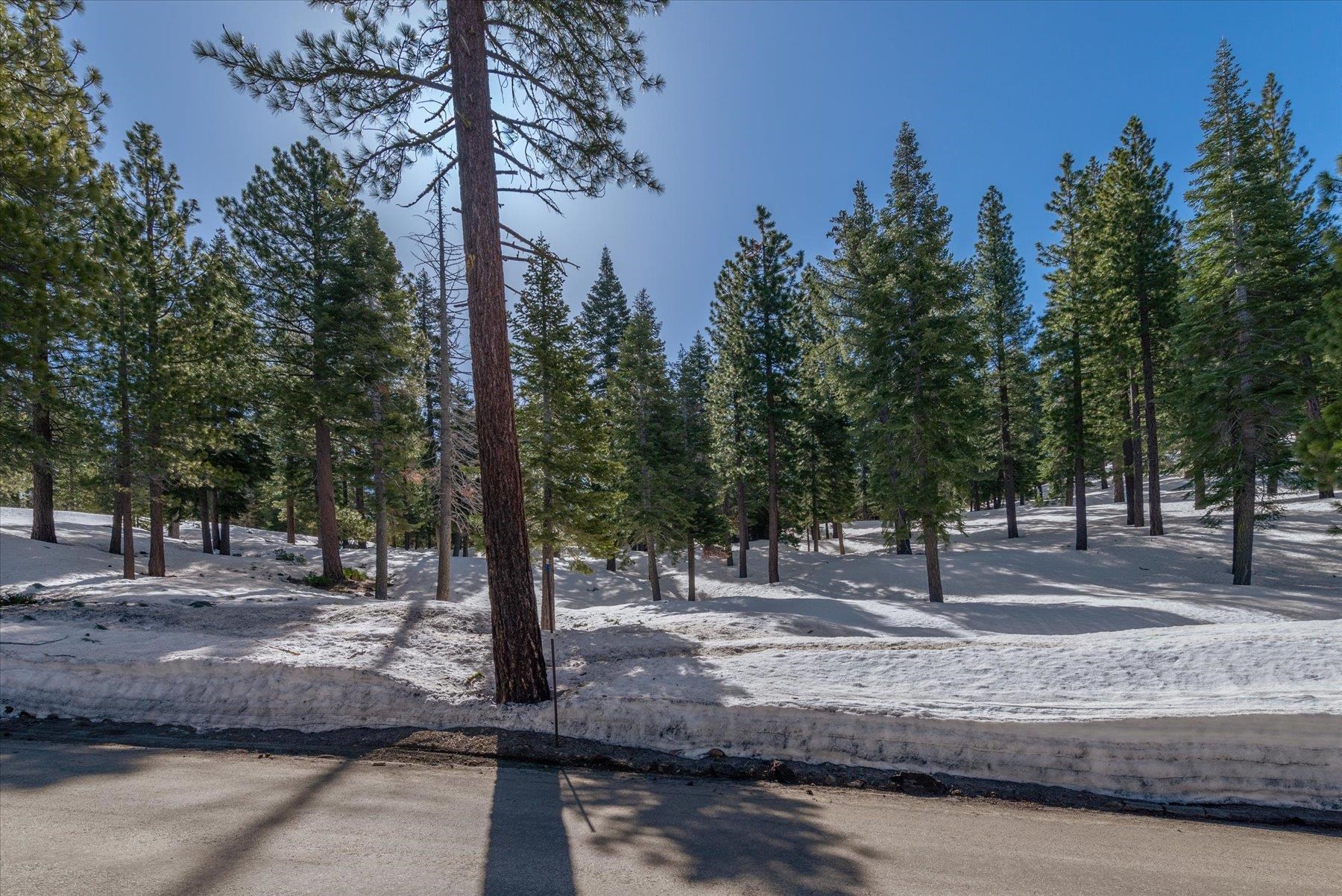2640 Mill Site Road Truckee, CA 96161 - Photo 5 of 18 a view of a yard with trees