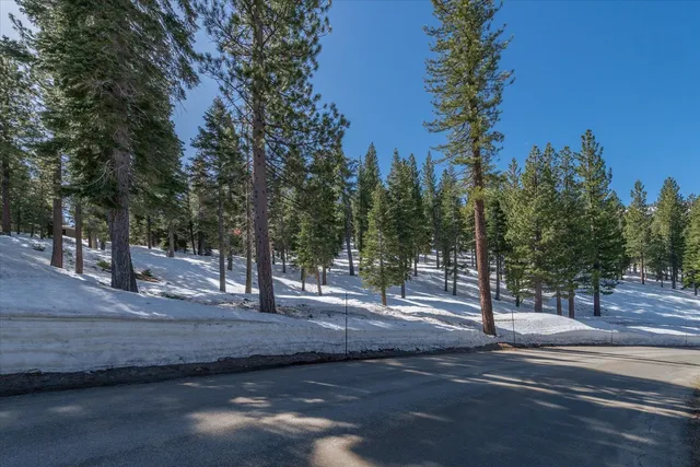 a view of road and trees