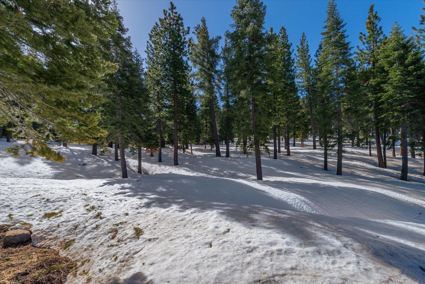 2640 Mill Site Road Truckee, CA 96161 - Photo 9 of 18 a view of road and trees