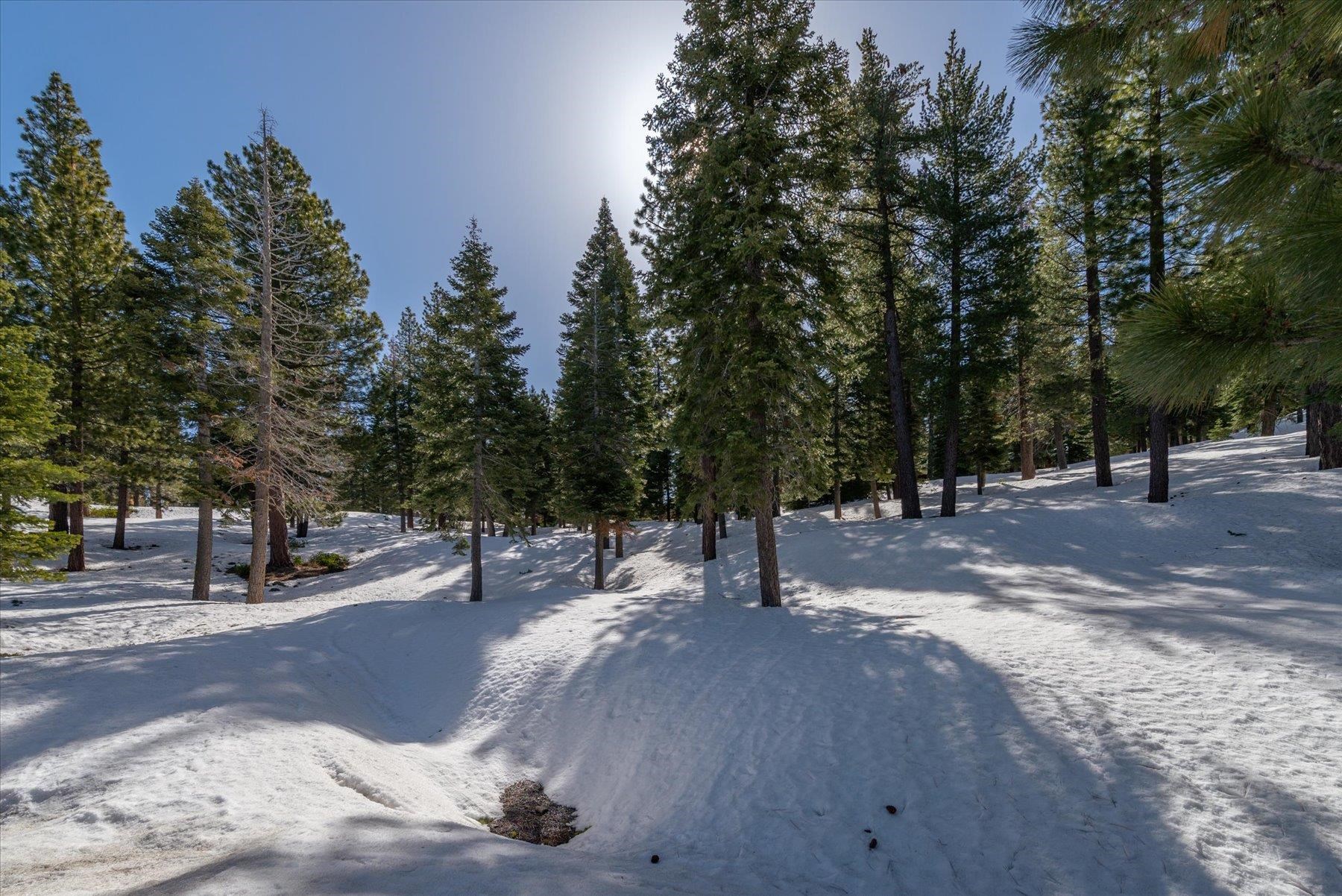 2640 Mill Site Road Truckee, CA 96161 - Photo 10 of 18 a view of road with trees