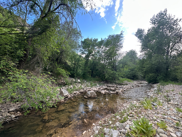 1141 South Oak Leaf Lane Springville, UT 84663 - Photo 2 of 147 Hobble Creek on your property!! This is all yours! find golf balls AND fish!! see more at the end!