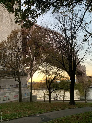 a view of trees with a yard