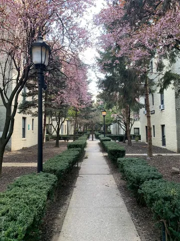 a walkway with trees on sides
