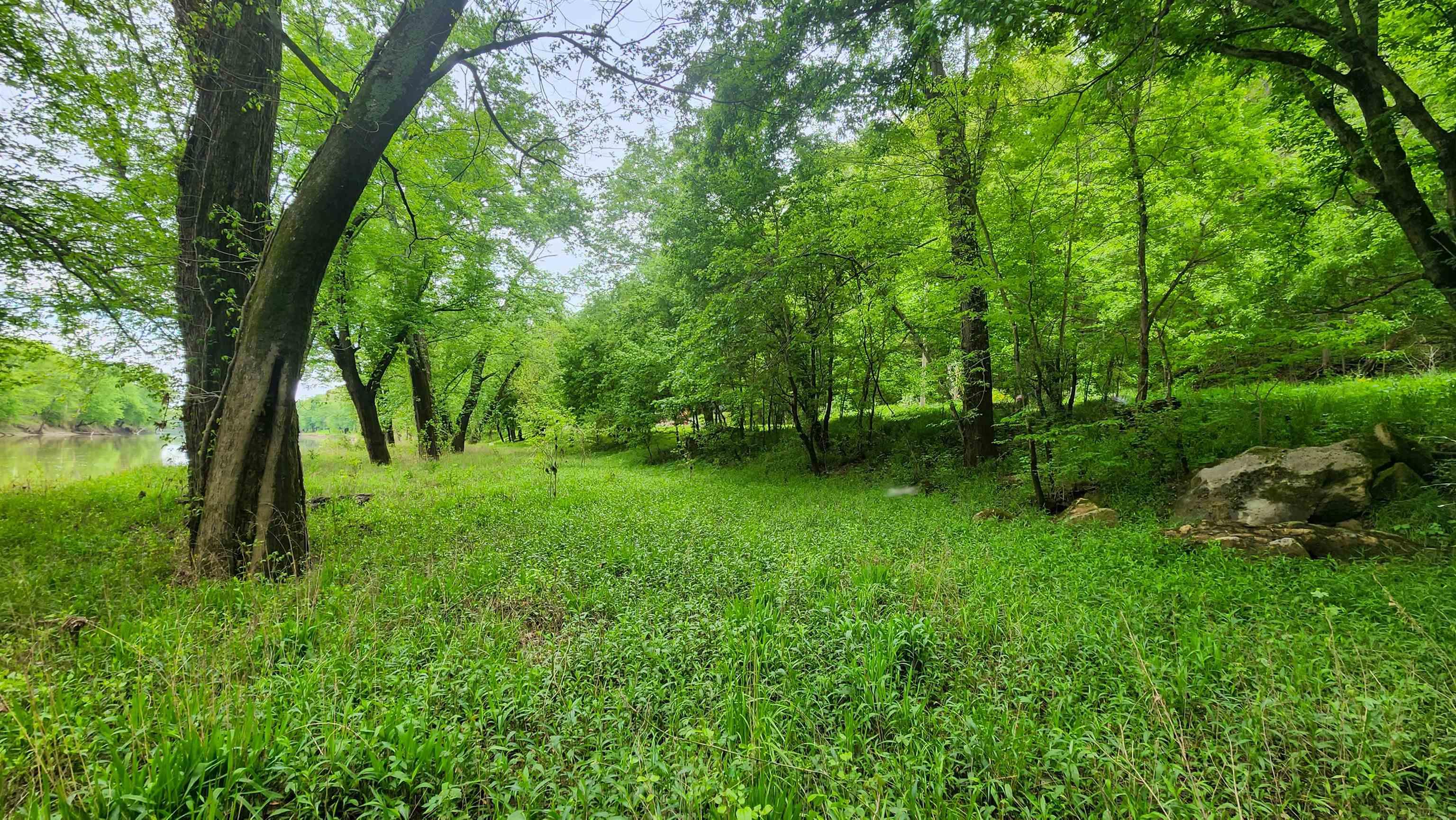 Rivervale Cabin Road Bedford, IN 47421 - Photo 8 of 12