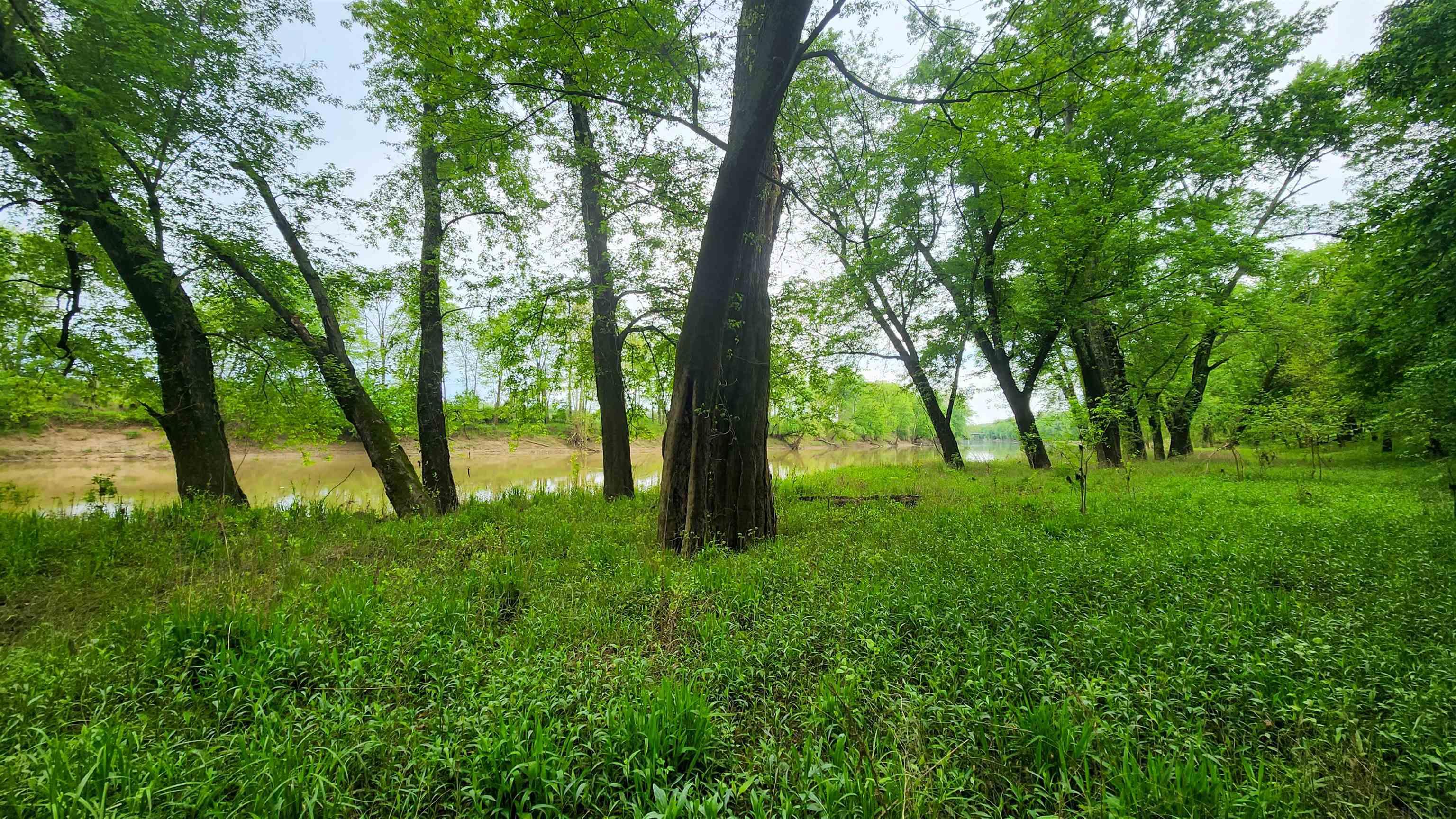 Rivervale Cabin Road Bedford, IN 47421 - Photo 10 of 12