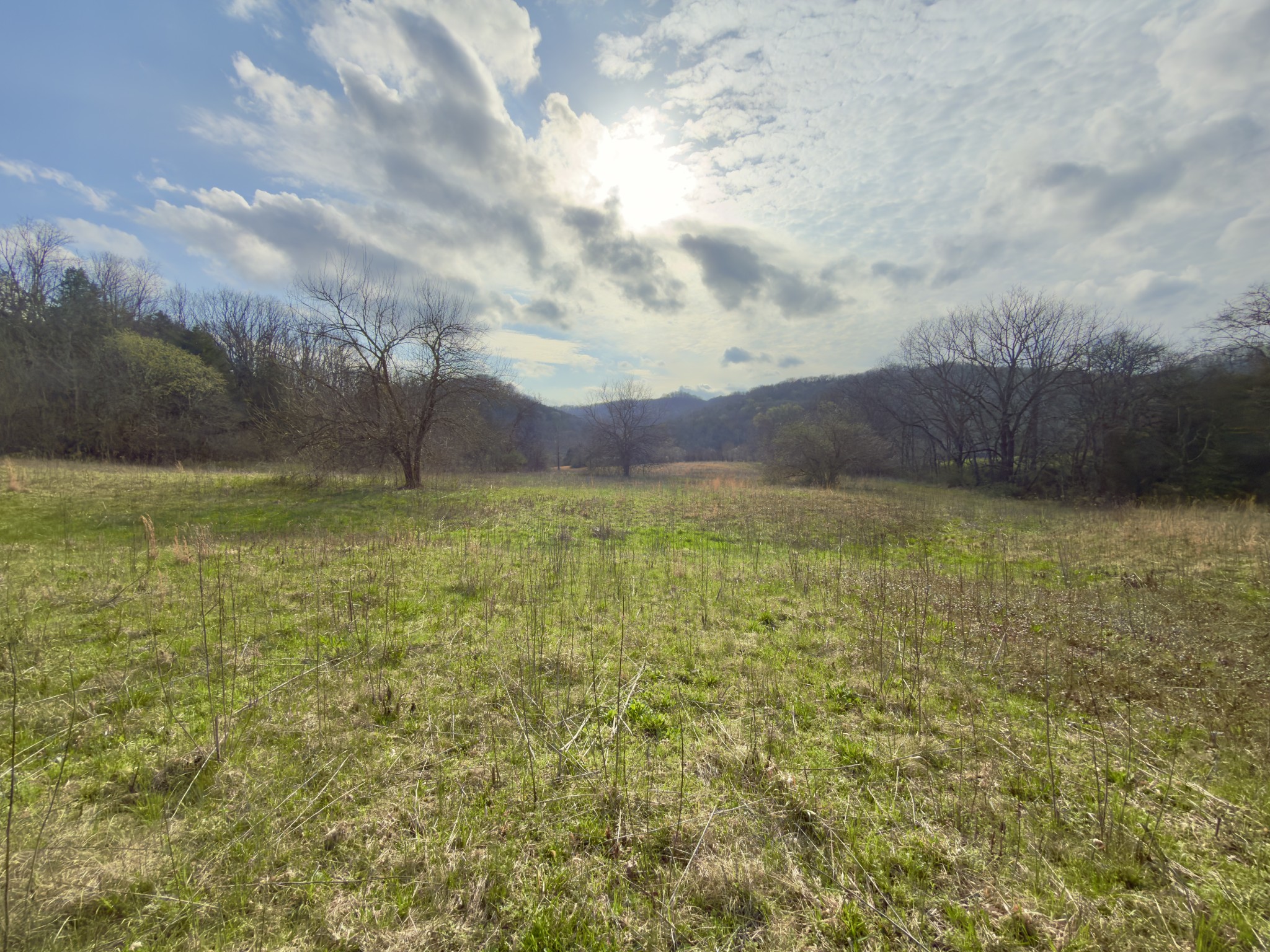 3960 Hurricane Creek Road Woodbury, TN 37190 - Photo 1 of 12 a view of a lake view with sitting space
