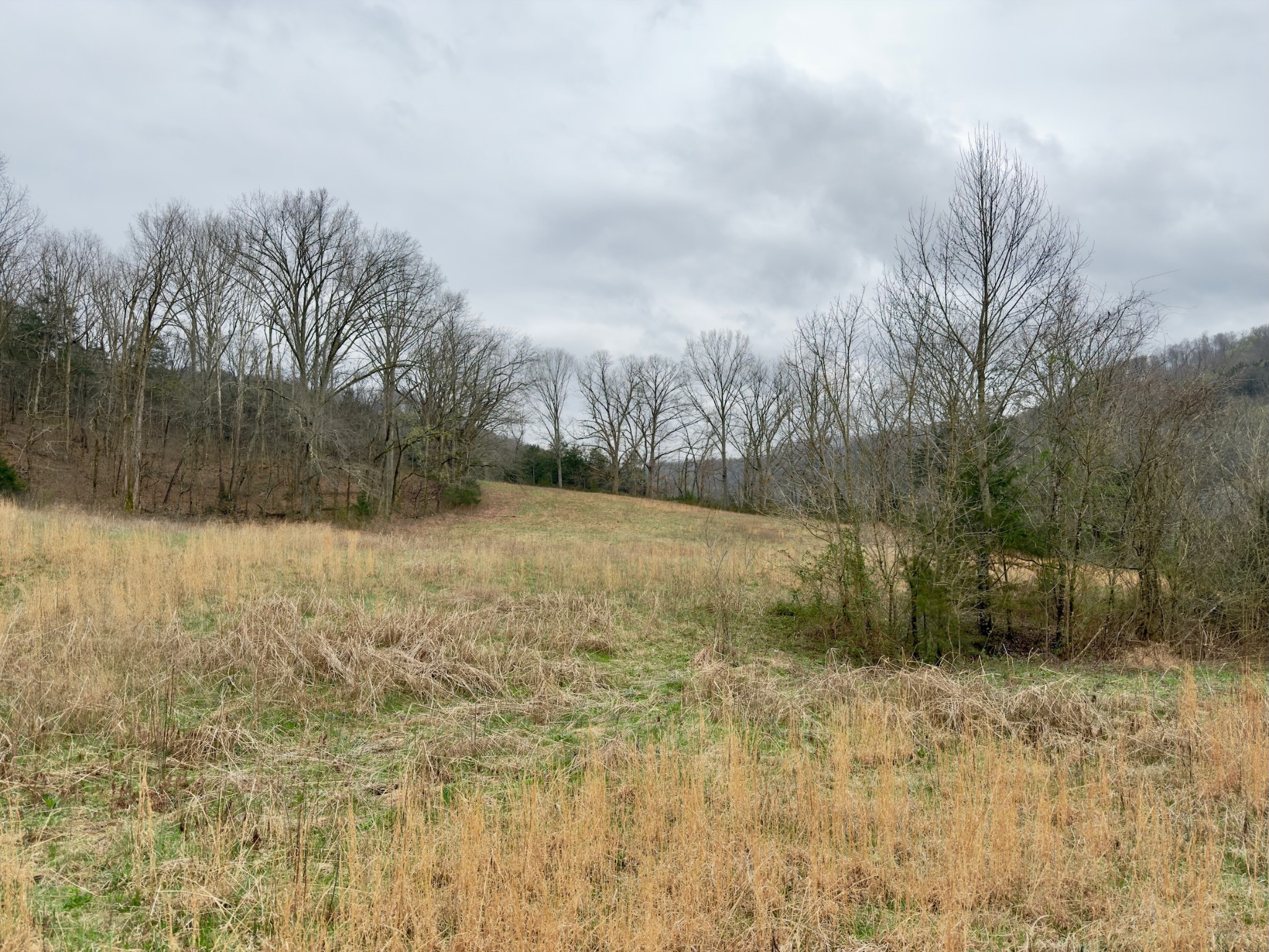 3960 Hurricane Creek Road Woodbury, TN 37190 - Photo 11 of 12 a view of a yard covered with snow