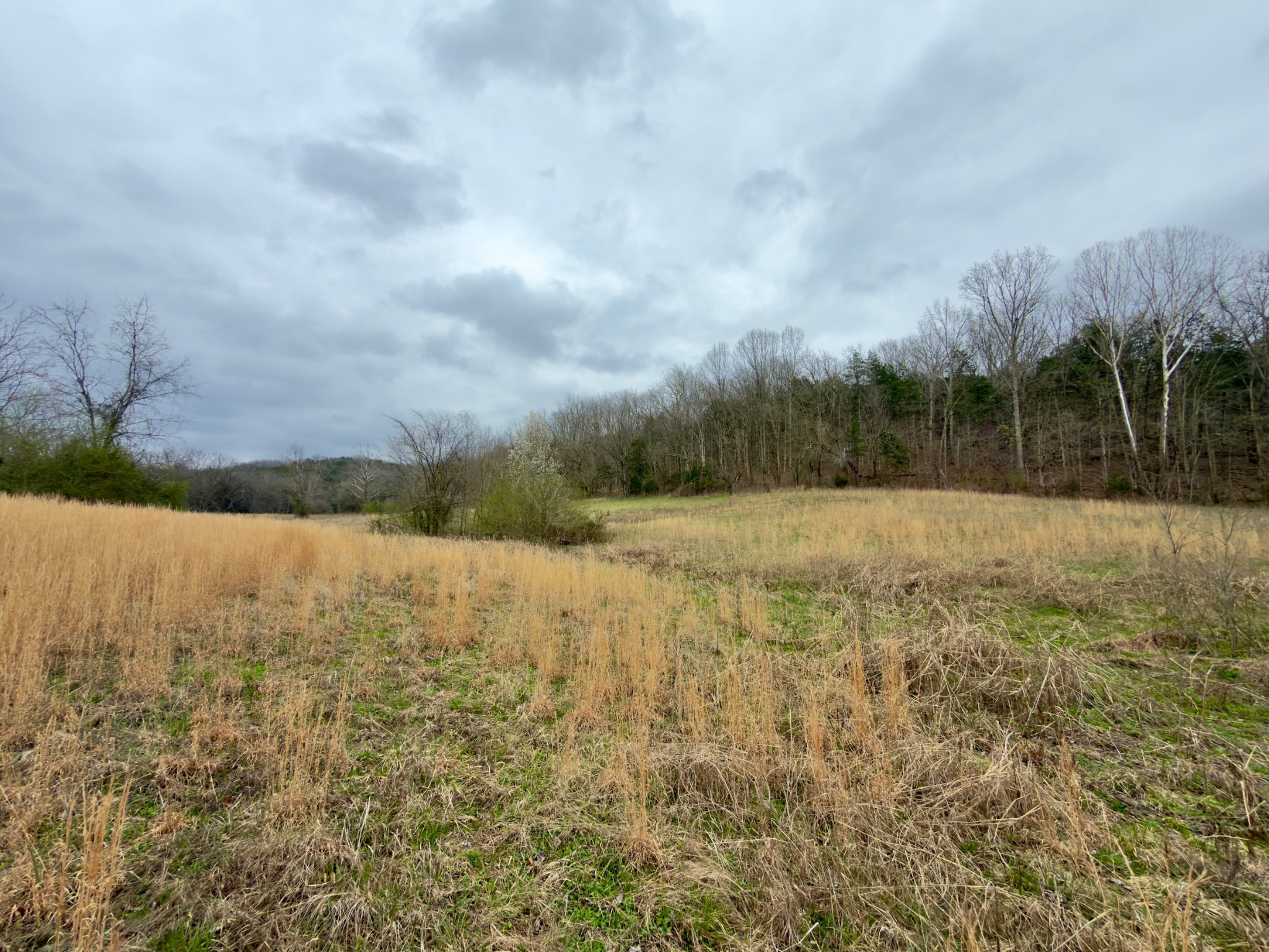 3960 Hurricane Creek Road Woodbury, TN 37190 - Photo 12 of 12 a view of outdoor space and yard
