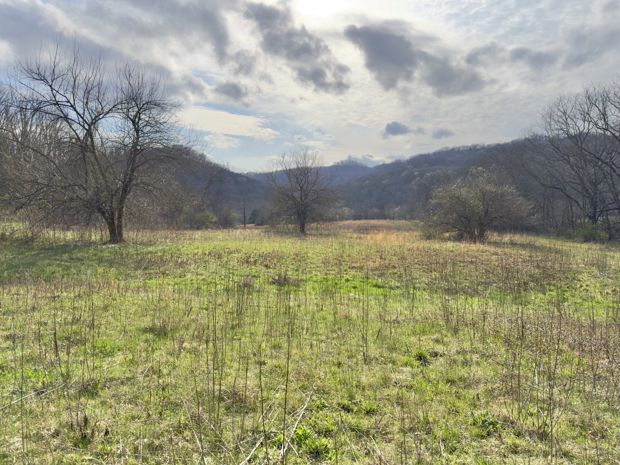3960 Hurricane Creek Road Woodbury, TN 37190 - Photo 3 of 12 a view of lake view and mountain