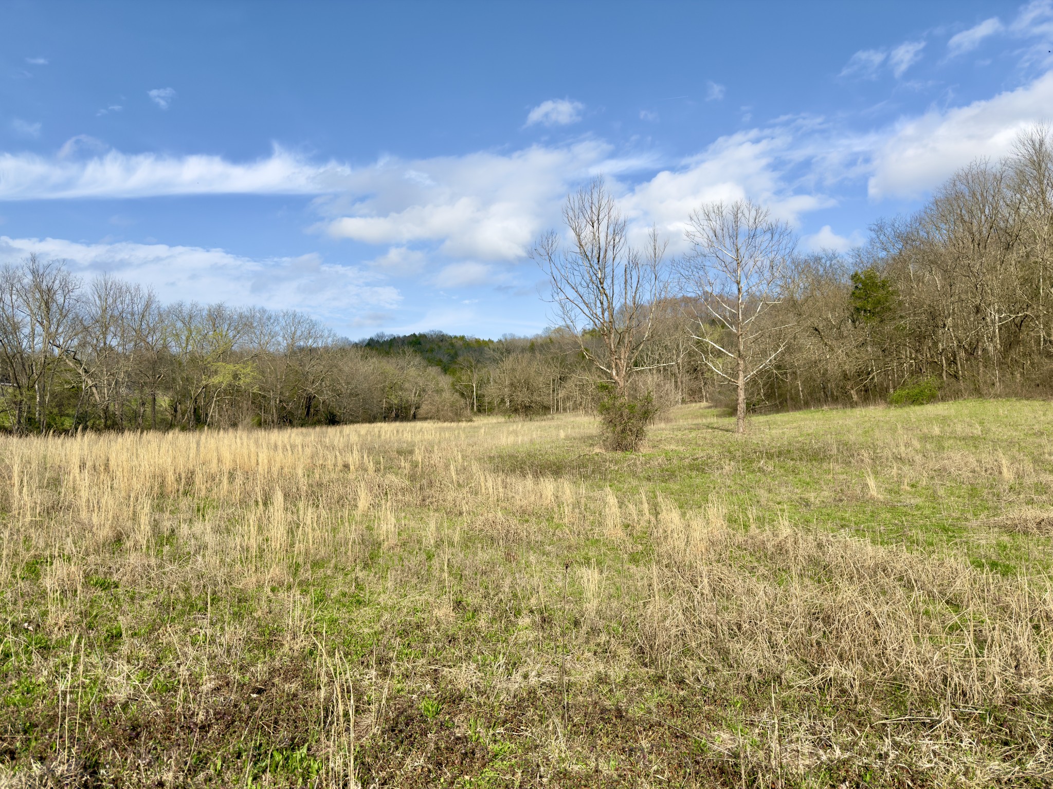 3960 Hurricane Creek Road Woodbury, TN 37190 - Photo 4 of 12 a view of lake view and mountain