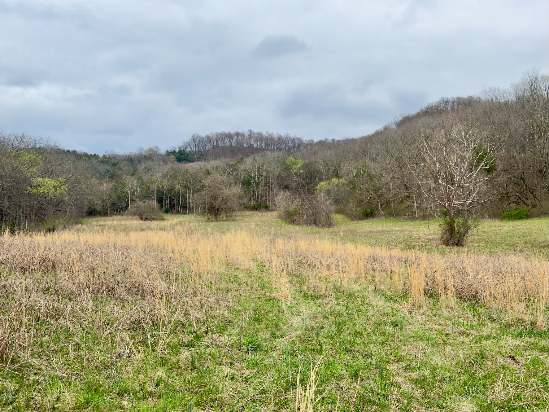 3960 Hurricane Creek Road Woodbury, TN 37190 - Photo 5 of 12 a view of lake with mountain