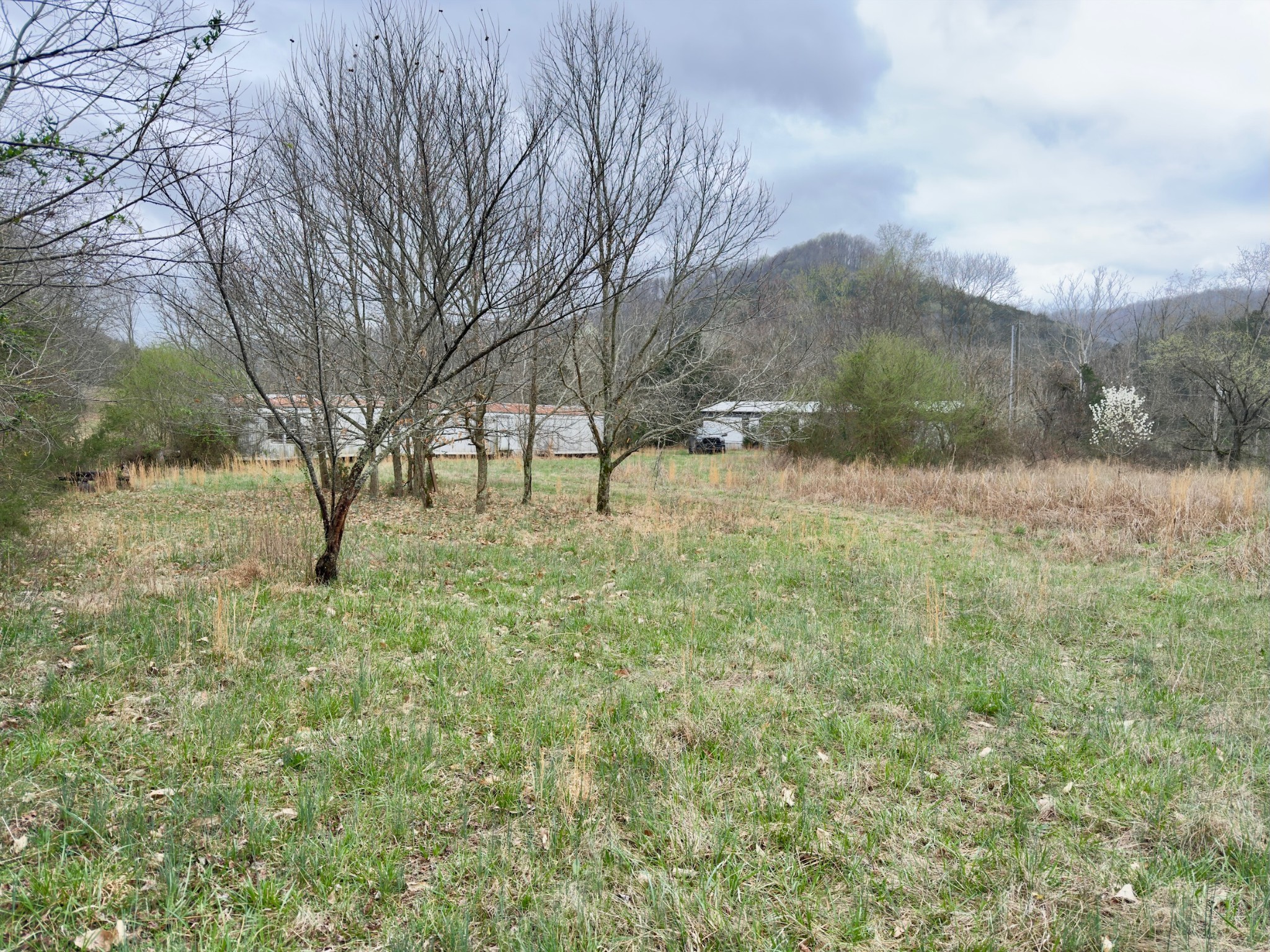 3960 Hurricane Creek Road Woodbury, TN 37190 - Photo 6 of 12 a view of backyard with outdoor and green space
