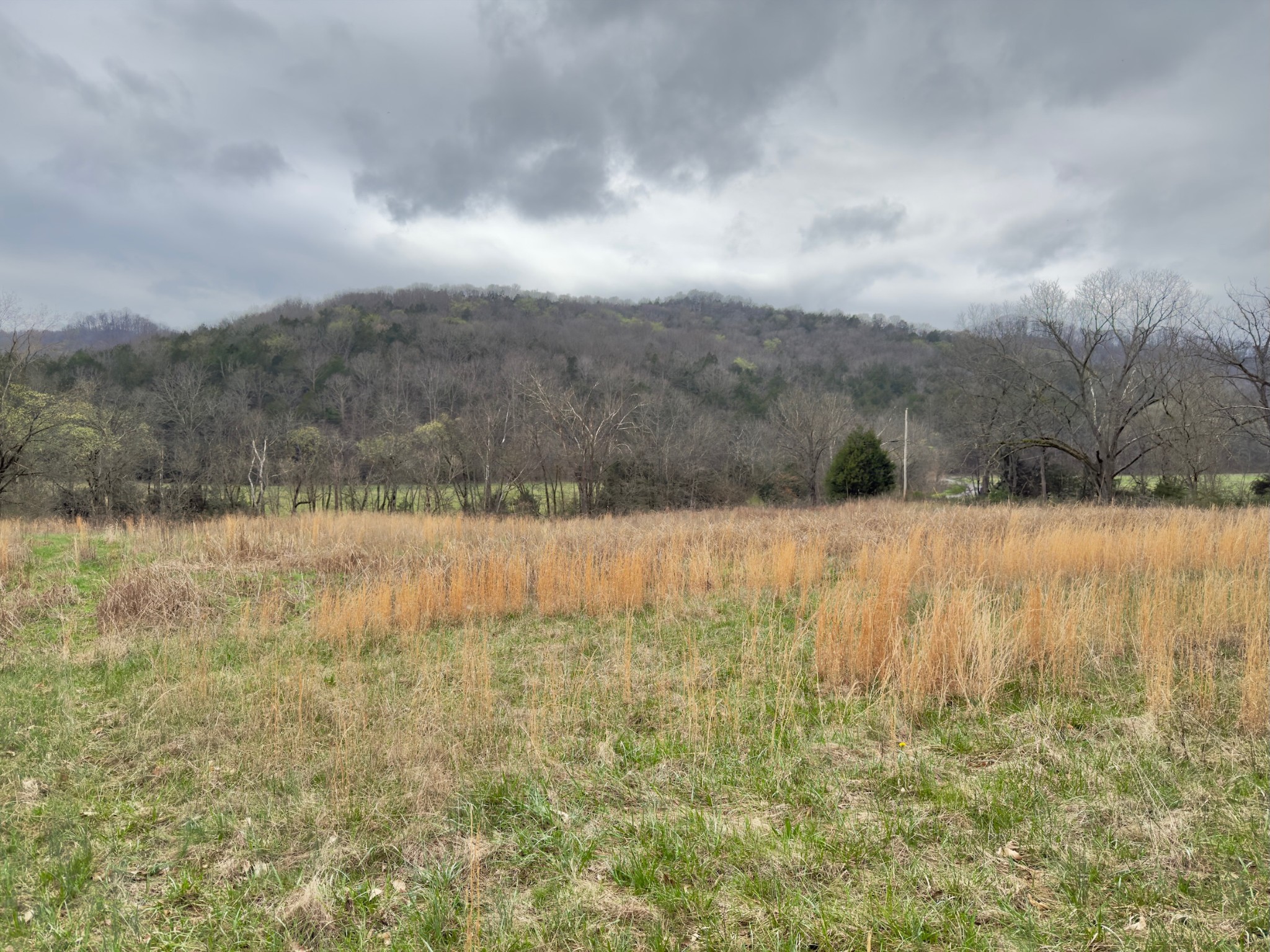 3960 Hurricane Creek Road Woodbury, TN 37190 - Photo 7 of 12 a view of mountain with lake view
