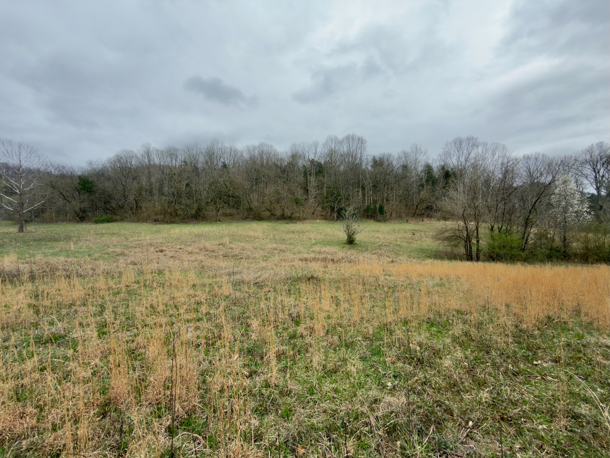 3960 Hurricane Creek Road Woodbury, TN 37190 - Photo 8 of 12 a view of a field with trees in the background