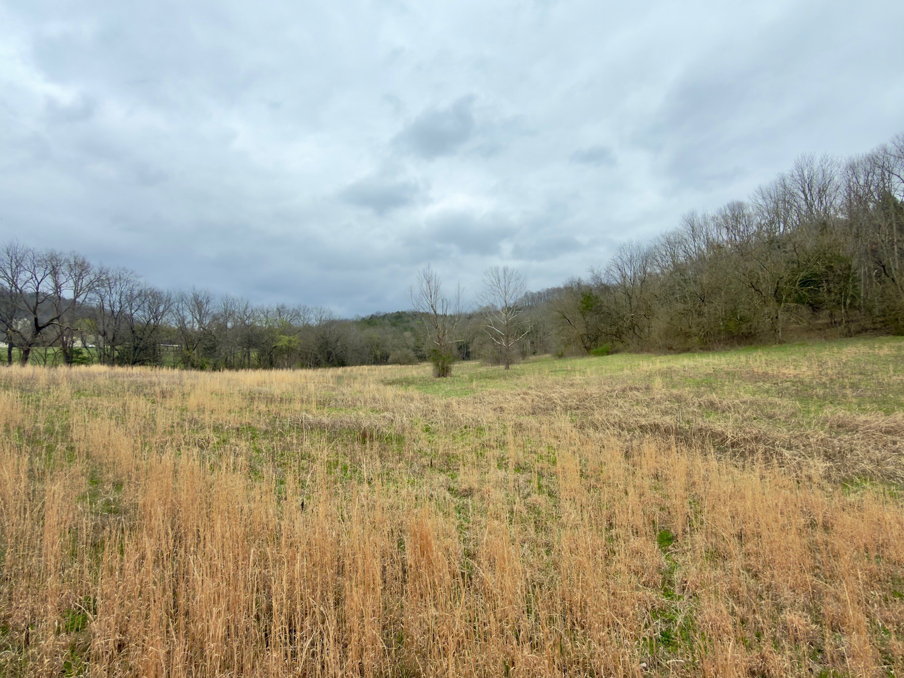 3960 Hurricane Creek Road Woodbury, TN 37190 - Photo 9 of 12 a view of a lake view
