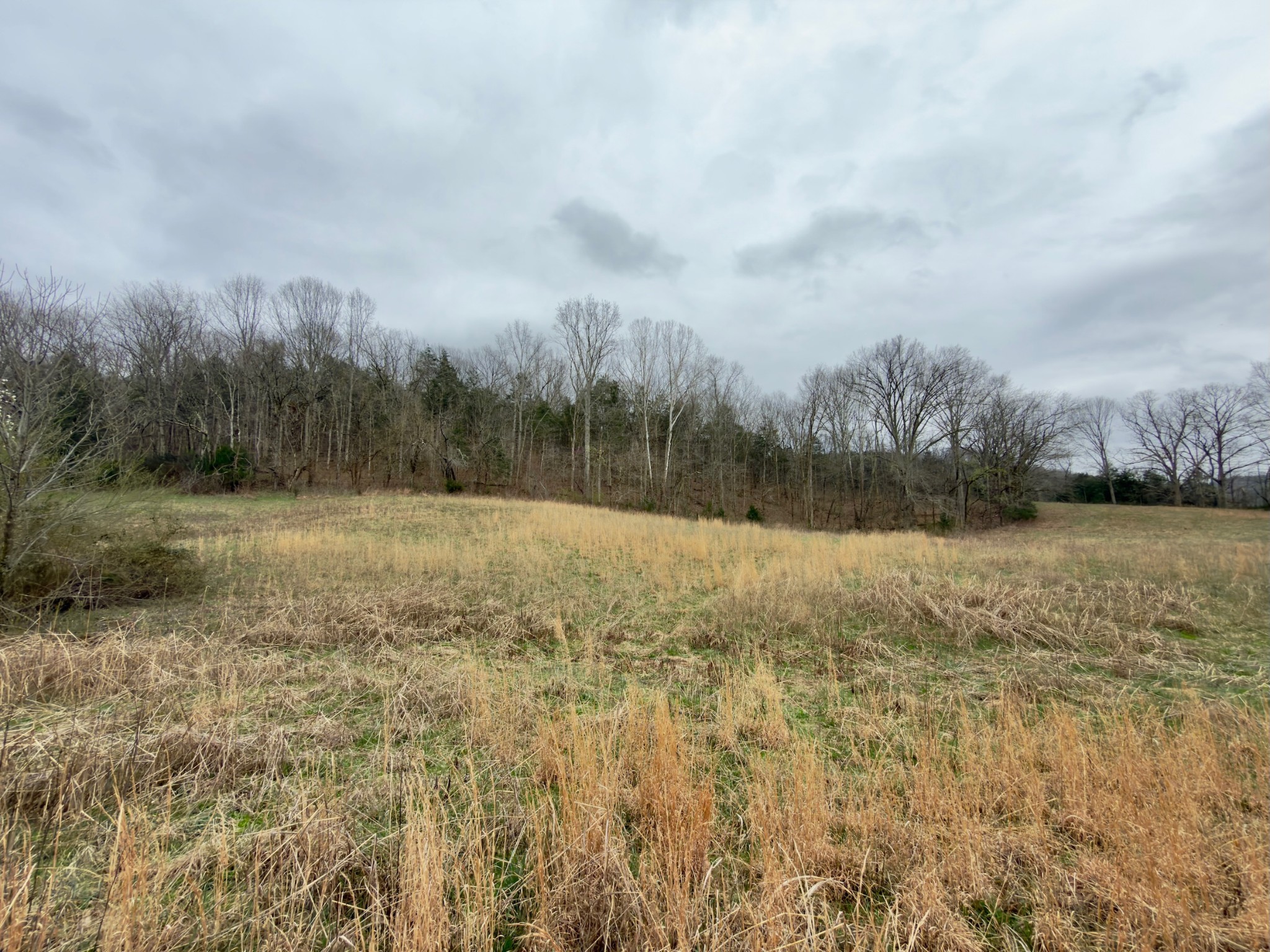 3960 Hurricane Creek Road Woodbury, TN 37190 - Photo 10 of 12