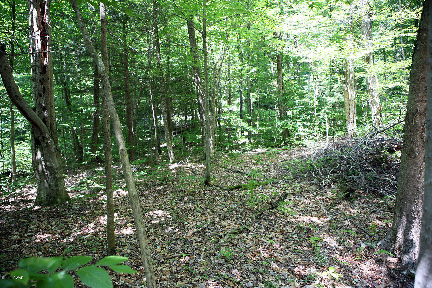 0 Braman Road Equinunk, PA 18417 - Photo 34 of 36
