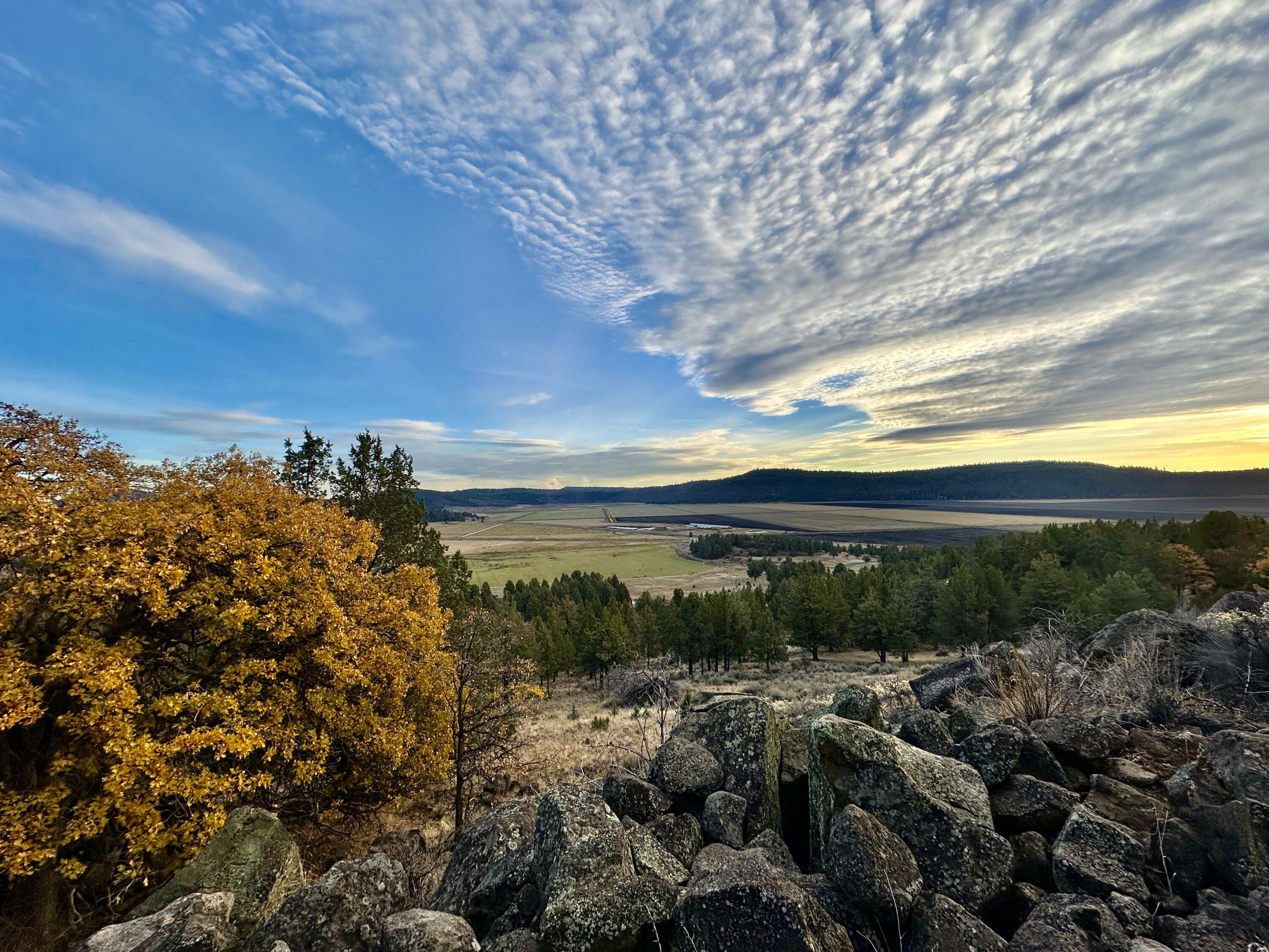 Coopers Hawk Road Klamath Falls, OR 97601 - Photo 18 of 19 IMG_6894