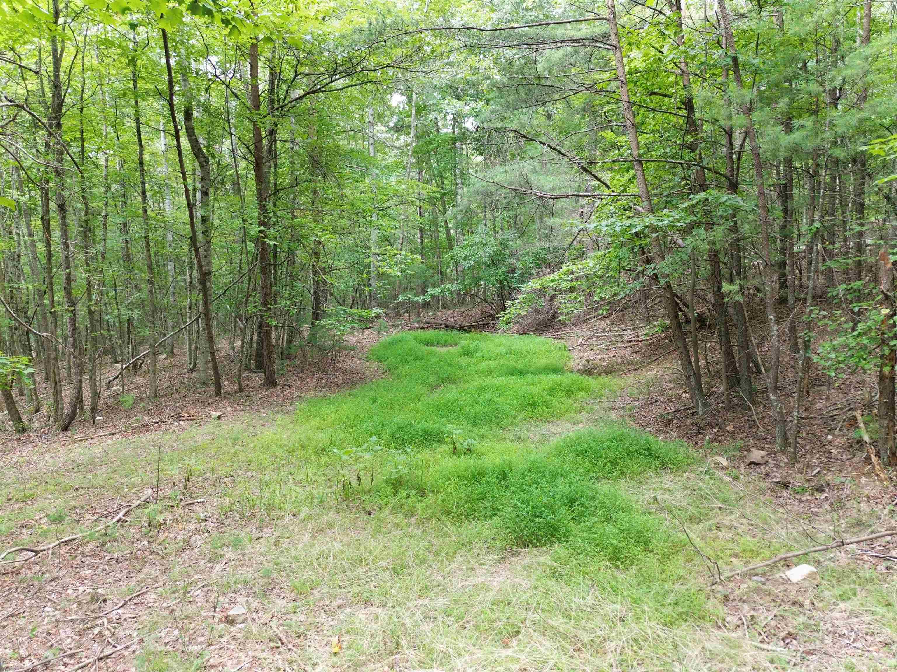 Tbd Norris Run Road Blacksburg, VA 24060 - Photo 8 of 8 Gallery Image 8